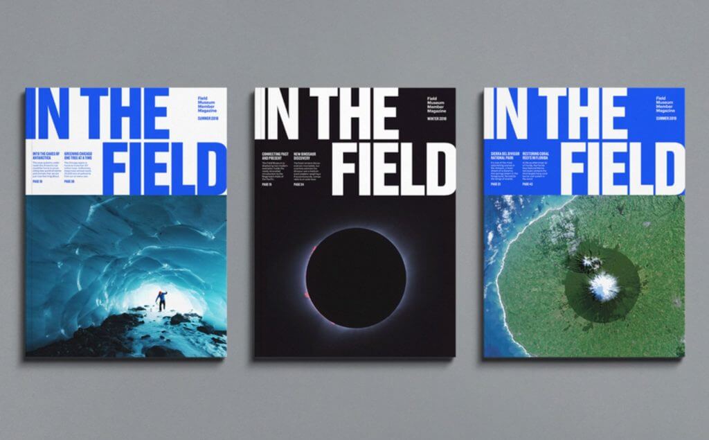 Three books are displayed in a horizontal row, each with the large title "In the Field" and a featured image, including a person in a cave, a solar eclipse, and an abstract image that could be an aerial view.