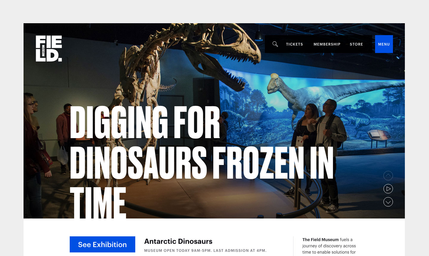 A screenshot of the Field Museum website featuring large text "Digging for Dinosaurs Frozen in Time" over a full-screen background image of visitors looking at a T-rex skeleton. A small menu appears in the upper right.